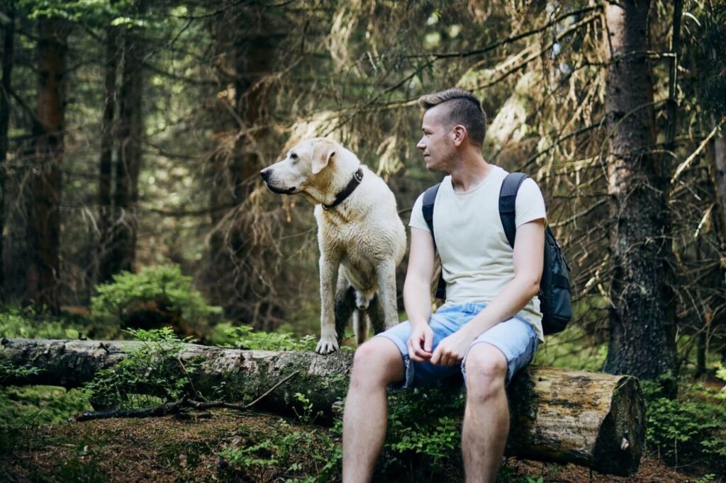 Ejercicios para perros: Mantenlo feliz y en forma