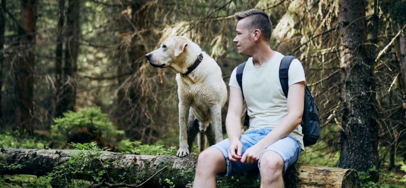 Ejercicios para perros: Mantenlo feliz y en forma