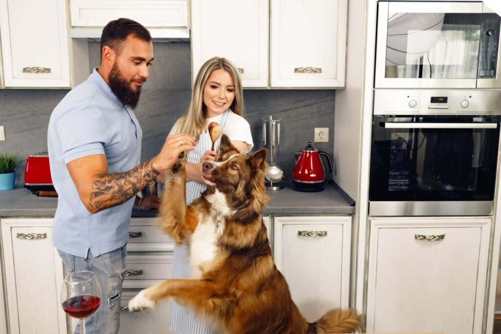 Perro hiperactivo: causas, síntomas y cómo calmarlo de forma efectiva