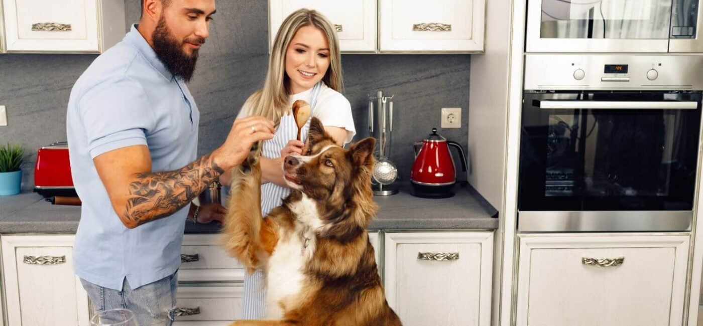 Perro hiperactivo: causas, síntomas y cómo calmarlo de forma efectiva