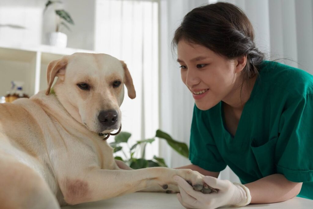 Las vacunas para perros: Todo lo que necesitas saber