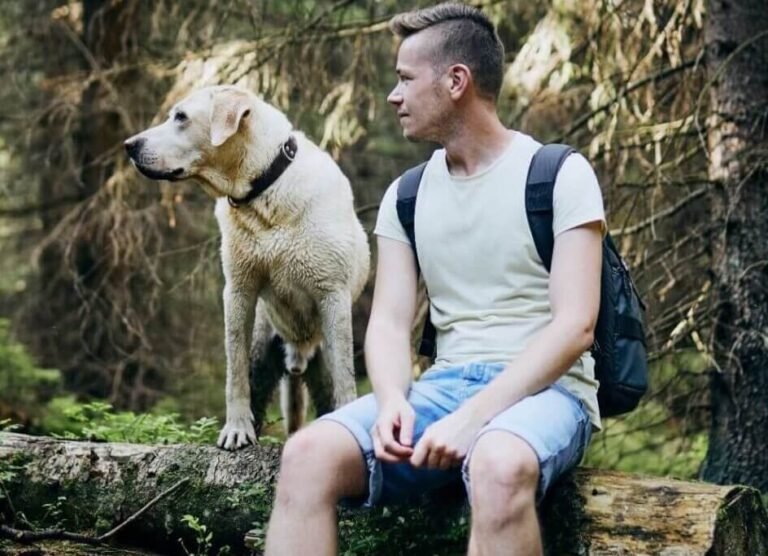 Ejercicios para perros: Mantenlo feliz y en forma