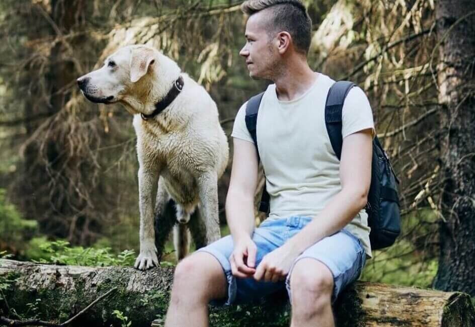 Ejercicios para perros: Mantenlo feliz y en forma