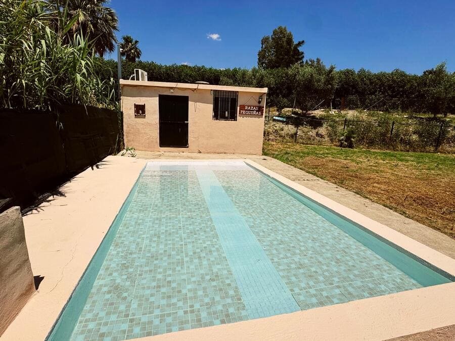 piscina can resort zona de piscina residencia canina malaga